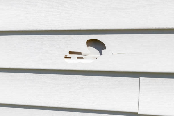 Best Historical Building Siding Restoration  in Riverdale, NJ